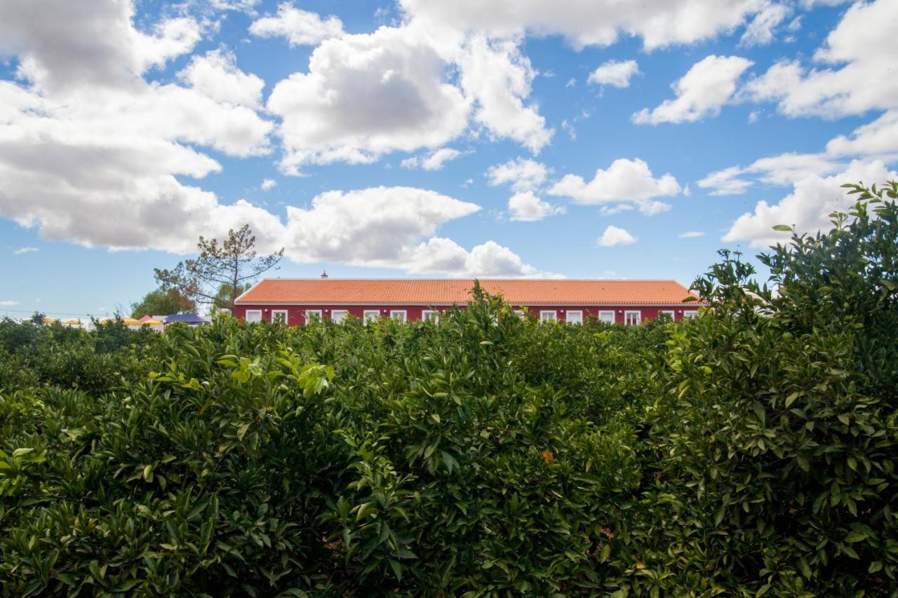 Quinta Dos I'S - Algarve Villa Ferrarias  Buitenkant foto