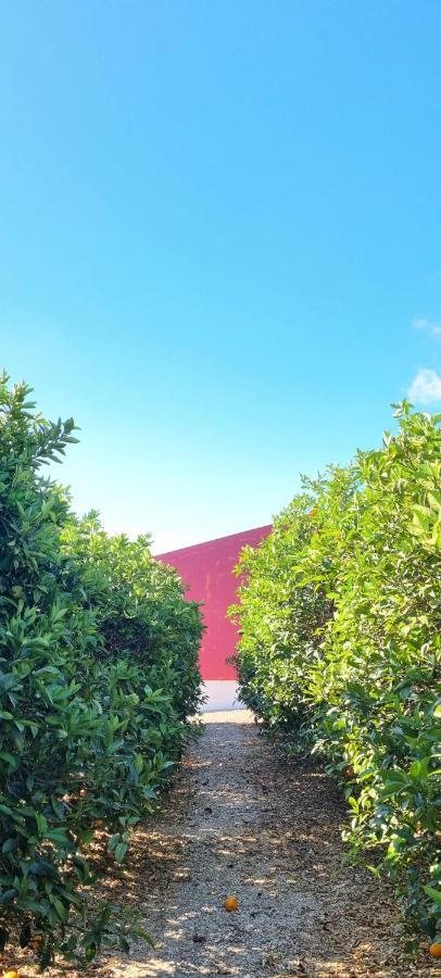 Quinta Dos I'S - Algarve Villa Ferrarias  Buitenkant foto